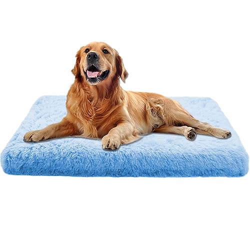 Xpnit Hundebett aus weichem Plüsch, mittelgroß, Memory-Schaum, Anti-Angstzustände, bequem, wasserdicht, rutschfeste Hundekäfig-Matratze (normal, M, Blau) von Xpnit