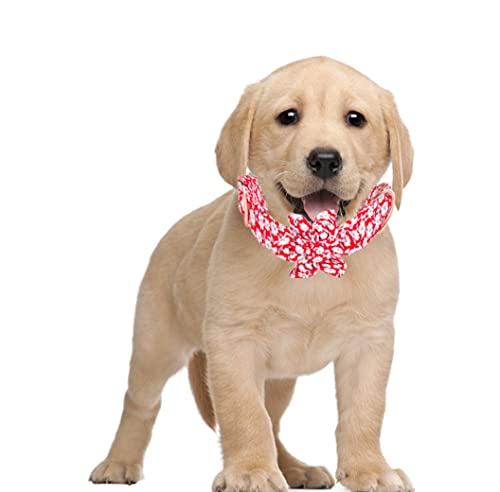 Xpnit Hundehalsband, verstellbar, langlebig, für Welpen, Kätzchen, abnehmbares Haustierhalsband für kleine, mittelgroße und große Hunde, Größe L, Rot von Xpnit