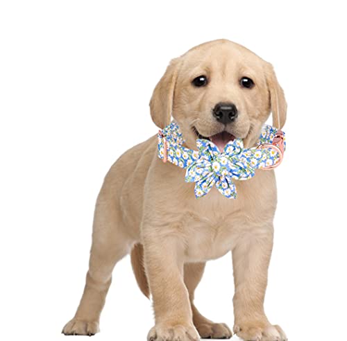 Xpnit Hundehalsband, verstellbar, langlebig, für Welpen, Kätzchen, abnehmbares Haustierhalsband für kleine, mittelgroße und große Hunde, Größe M, Blau von Xpnit