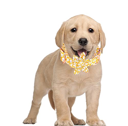 Xpnit Hundehalsband, verstellbar, langlebig, für Welpen, Kätzchen, abnehmbares Haustierhalsband für kleine, mittelgroße und große Hunde, Größe M, Gelb von Xpnit