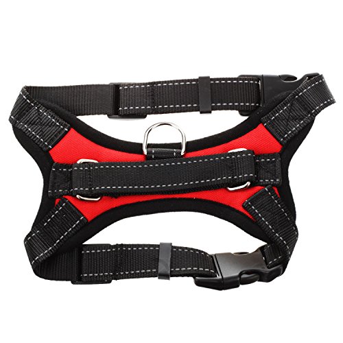 Xptieeck Pet Traction Rope Bundle Neck Chest Belt Labrador Malamute Large Dog Collar Rope to Prevent Sudden Impact Red M von Xptieeck