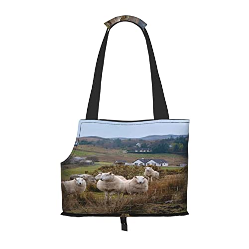 Sheep Rural Coastal, weiche Seiten, Reise-Haustier-Tragetasche, Tragetasche, Handtasche, tragbare kleine Haustier-Tragetasche, Umhängetasche von XqmarT
