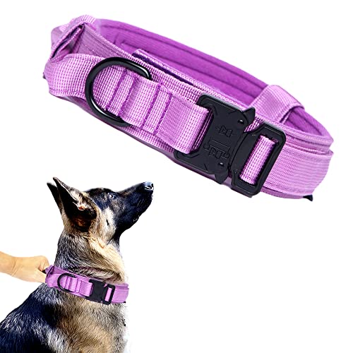 Taktisches Hundehalsband, Militär-Hundehalsband, verstellbar, Nylon, strapazierfähig, Metallschnalle mit Griff für Hundetraining (Violett, L) von Xqpetlihai