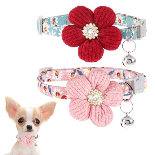 2 Stück Haustierhalsband mit Blume, Katzenhalsbänder mit Glöckchen, klein, weich, verstellbar, Sicherheitshalsband für kleine Haustiere (Rosa + Weinrot) von Xthrotsenk