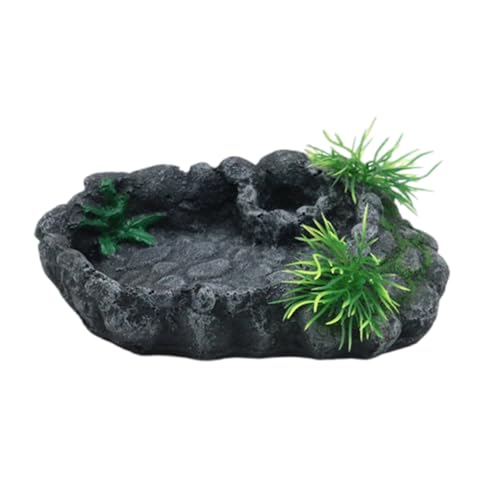 XuQiZZpp Futternapf für Haustiere, langlebig, Harze, für Reptilien, Futter und Wasser, Futterspender für Schildkröten und Eidechsen, Amphibien, Futternapf von XuQiZZpp