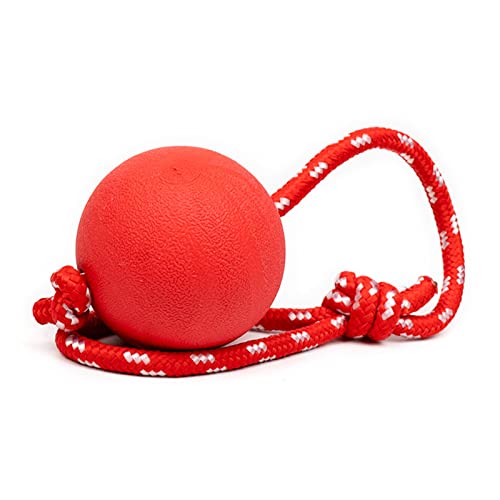 XuQiZZpp Hunde Gummiseil und Kauspielzeug Baumwollseil Interaktives Traning Spielzeug Mehrere Knoten Bissfest für Hunde XuQiZZpp Hunde Gummiseil und Kauspielzeug Baumwollseil Interaktives Traning Spielzeug Mehrere Knoten Bissfest für Hunde von XuQiZZpp