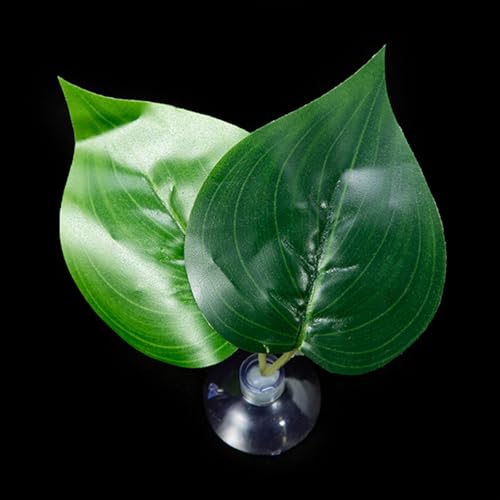 XuQiZZpp Sicheres Fischblattbett, natürliche Umgebung, Bettas, Fische, Laichbett, Aquarien, Dekorationen, Simulation, Blätter, Hängematte, Ruhe-Aquarien, Dekoration XuQiZZpp Sicheres Fischblattbett, natürliche Umgebung, Bettas, Fische, Laichbett, Aquarien, Dekorationen, Simulation, Blätter, Hängematte, Ruhe-Aquarien, Dekoration von XuQiZZpp