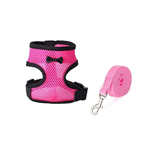 Hühner-Geschirr mit Leine, verstellbar, bequem, für kleines Haustiergeschirr, Leine, Set für Enten-Training, Spaziergänge, Huhn und für Hühner, Größe S und L von Xuancai