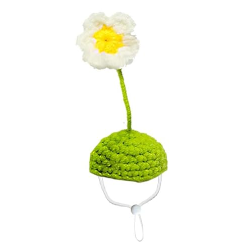 Xuancai Modische handgestrickte Mütze für Meerschweinchen, modische und praktische Strickmütze, Zubehör für Festivals, Fotografie, Haustiermütze für kleine Tiere, kleine Haustiere, Urlaubsmütze von Xuancai