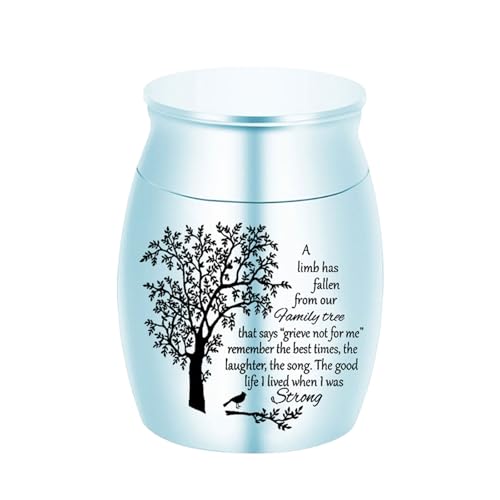 Xuancai Urne für Asche für Tiere, Mutter, Urne für Asche/Haare, einfache Dose für Asche/Haar, Haustier-Gedenkurne von Xuancai