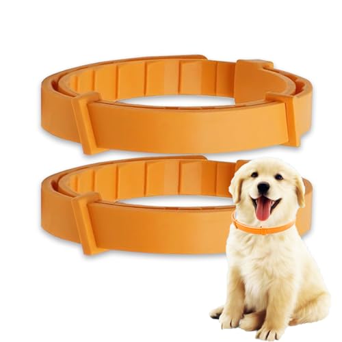 2 Stück Silikon-Hundehalsbänder – verstellbare Hundehalsbänder für Hunde, wasserabweisendes Halsband für kleine, mittelgroße und große Hunde – Orange 2 Stück Silikon-Hundehalsbänder – verstellbare Hundehalsbänder für Hunde, wasserabweisendes Halsband für kleine, mittelgroße und große Hunde – Orange von Xuigort