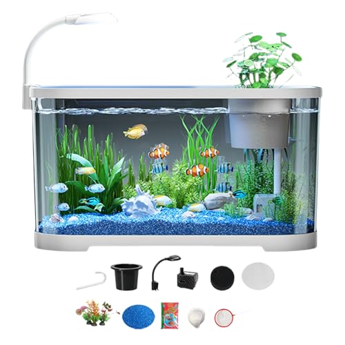 Xujuika Aquarium StarterSets, Aquarium Komplettset, Tischaquarien Für Kampffische Als Dekoratives Zimmeraccessoire - Desktop Anfänger Aquariums Mit Fischglas von Xujuika