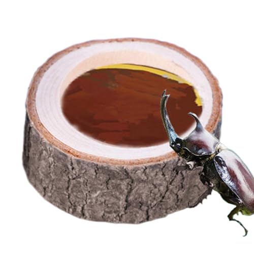 Xujuika Schildkröten Wasserschale | Reptilien Futterstelle - Naturholz-Design Futterschale Für Gecko Bartagame Einsiedlerkrebs Und Aquarium Deko von Xujuika