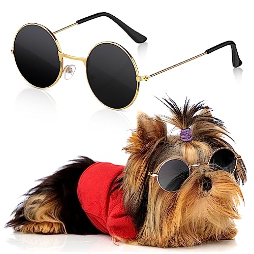 Hunde-Sonnenbrille, Retro-Haustierbrille, Puppenbrille, klassische runde Hundebrille, Metall, Katzenwelpenauge, Hippie-Kostüme für Katzen und Hunde, Foto-Requisiten, Cosplay-Party-Kostüm (Gold, von Xuniea