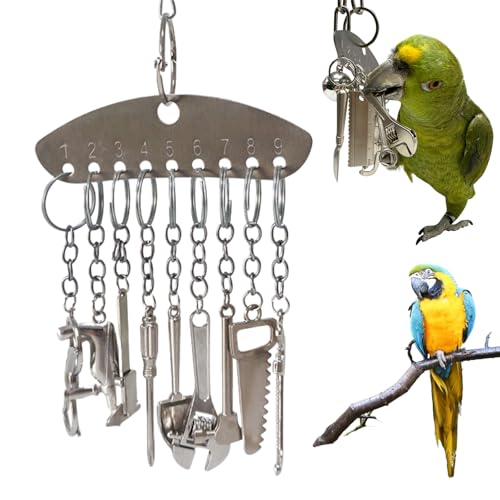 Flecken-/Weniger Stahl/el Vogelspielzeug, Vogellöffel-Spielzeug, Papageienspielzeug, Kau-Puzzle-Spielzeug, hängendes Pa/rrots Kauen/g T/oy, hängende Bi/rd Bell interaktive Futtersuche Bir/D To/ys Flecken-/Weniger Stahl/el Vogelspielzeug, Vogellöffel-Spielzeug, Papageienspielzeug, Kau-Puzzle-Spielzeug, hängendes Pa/rrots Kauen/g T/oy, hängende Bi/rd Bell interaktive Futtersuche Bir/D To/ys von Xunzhi