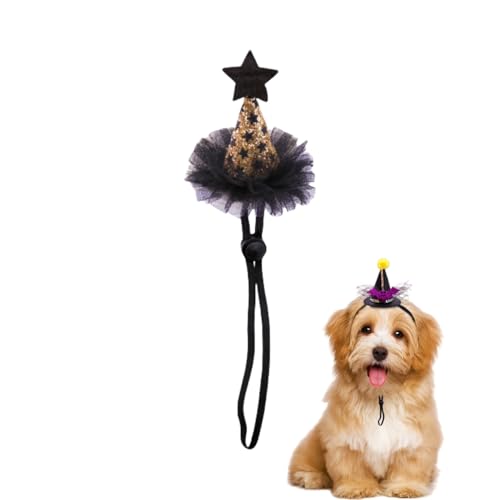 Halloween-Hexenhut für Haustiere, Kopfbedeckung für Haustiere, Hexenhüte für Hunde mit dehnbarem Kinnseil für kleine und mittelgroße Katzen und Hunde, 10 Stück Halloween-Hexenhut für Haustiere, Kopfbedeckung für Haustiere, Hexenhüte für Hunde mit dehnbarem Kinnseil für kleine und mittelgroße Katzen und Hunde, 10 Stück von Xusdamyj