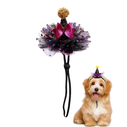 Halloween-Hexenhut für Haustiere, Kopfbedeckung für Haustiere, Hexenhüte für Hunde mit dehnbarem Kinnseil für kleine und mittelgroße Katzen und Hunde, 11 Stück Halloween-Hexenhut für Haustiere, Kopfbedeckung für Haustiere, Hexenhüte für Hunde mit dehnbarem Kinnseil für kleine und mittelgroße Katzen und Hunde, 11 Stück von Xusdamyj