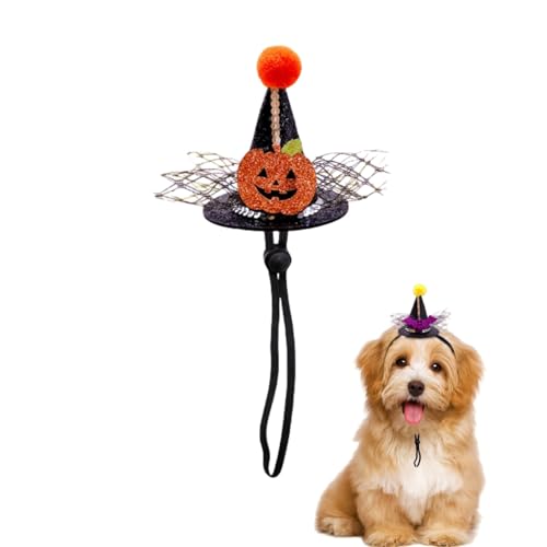 Halloween-Hexenhut für Haustiere, Kopfbedeckung für Haustiere, Hexenhüte für Hunde mit dehnbarem Kinnseil für kleine und mittelgroße Katzen und Hunde, 9 Stück Halloween-Hexenhut für Haustiere, Kopfbedeckung für Haustiere, Hexenhüte für Hunde mit dehnbarem Kinnseil für kleine und mittelgroße Katzen und Hunde, 9 Stück von Xusdamyj