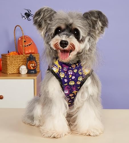Halloween-Hundehemden, ärmellose Hundeweste mit süßem Aufdruck für extra kleine und mittelgroße Hunde, Welpen und Katzen Halloween-Hundehemden, ärmellose Hundeweste mit süßem Aufdruck für extra kleine und mittelgroße Hunde, Welpen und Katzen von Xusdamyj