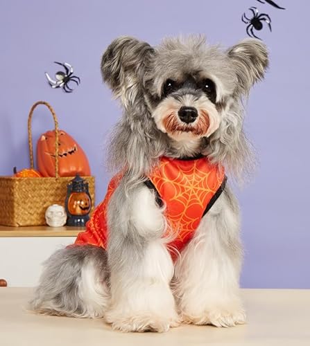 Halloween-Hundehemden, ärmellose Hundeweste mit süßem Aufdruck für extra kleine und mittelgroße Hunde, Welpen und Katzen von Xusdamyj