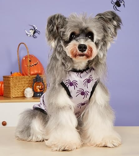 Halloween-Hundehemden, ärmellose Hundeweste mit süßem Aufdruck für extra kleine und mittelgroße Hunde, Welpen und Katzen von Xusdamyj