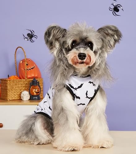 Halloween-Hundehemden, ärmellose Hundeweste mit süßem Aufdruck für extra kleine und mittelgroße Hunde, Welpen und Katzen von Xusdamyj