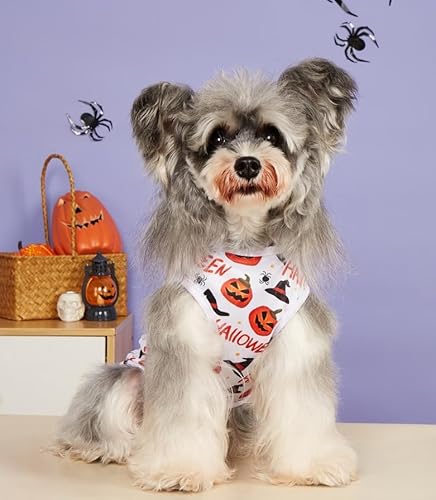 Halloween-Hundehemden, ärmellose Hundeweste mit süßem Aufdruck für extra kleine und mittelgroße Hunde, Welpen und Katzen von Xusdamyj