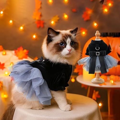 Haustier Halloween Tutu Rock Katzenkostüm Kleid Urlaub Party Kleidung für Katzen & Hunde von Xusdamyj