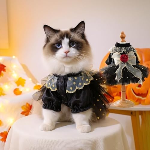 Haustier Halloween Tutu Rock Katzenkostüm Kleid Urlaub Party Kleidung für Katzen & Hunde von Xusdamyj