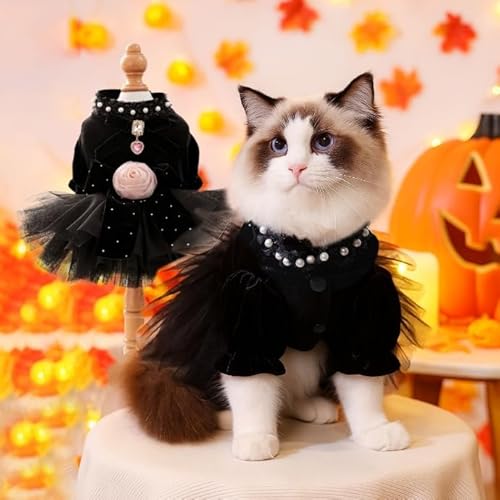 Haustier Halloween Tutu Rock Katzenkostüm Kleid Urlaub Party Kleidung für Katzen & Hunde von Xusdamyj