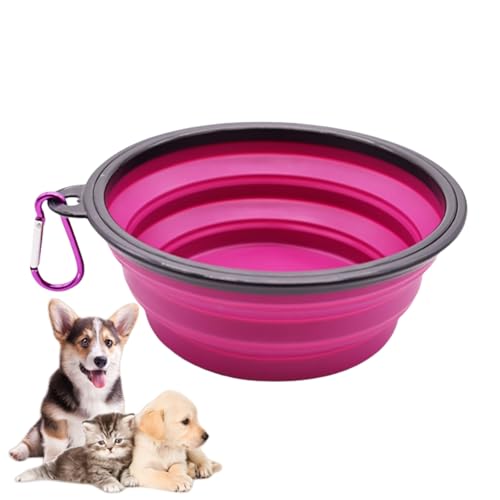 Klappbare Silikon Hund Schüssel Haustier Schüsseln mit Karabiner für Katzen Hunde Tragbare Haustiere Fütterung Bewässerungsschale für Gehen Parkplatz Reisen Klappbare Silikon Hund Schüssel Haustier Schüsseln mit Karabiner für Katzen Hunde Tragbare Haustiere Fütterung Bewässerungsschale für Gehen Parkplatz Reisen von Xusdamyj