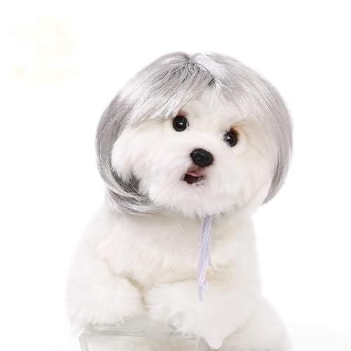 Lustige Hundeperücke für kleine, mittelgroße und große Hunde, Katzen, Cosplay-Perücken für Halloween und Weihnachten Lustige Hundeperücke für kleine, mittelgroße und große Hunde, Katzen, Cosplay-Perücken für Halloween und Weihnachten von Xusdamyj