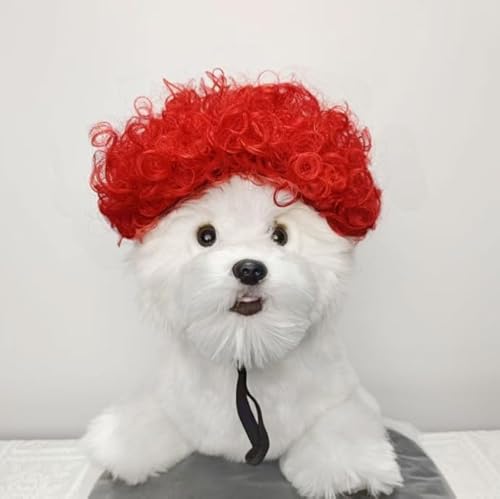 Lustige Hundeperücke für kleine, mittelgroße und große Hunde, Katzen, Cosplay-Perücken für Halloween und Weihnachten Lustige Hundeperücke für kleine, mittelgroße und große Hunde, Katzen, Cosplay-Perücken für Halloween und Weihnachten von Xusdamyj