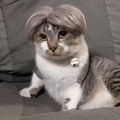 Lustige Hundeperücke für kleine, mittelgroße und große Hunde, Katzen, Cosplay-Perücken für Halloween und Weihnachten Lustige Hundeperücke für kleine, mittelgroße und große Hunde, Katzen, Cosplay-Perücken für Halloween und Weihnachten von Xusdamyj