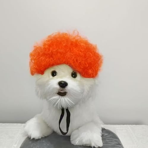 Lustige Hundeperücke für kleine, mittelgroße und große Hunde, Katzen, Cosplay-Perücken für Halloween und Weihnachten von Xusdamyj