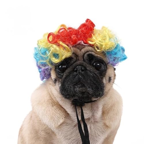 Lustige Hundeperücke für kleine, mittelgroße und große Hunde, Katzen, Cosplay-Perücken für Halloween und Weihnachten Lustige Hundeperücke für kleine, mittelgroße und große Hunde, Katzen, Cosplay-Perücken für Halloween und Weihnachten von Xusdamyj