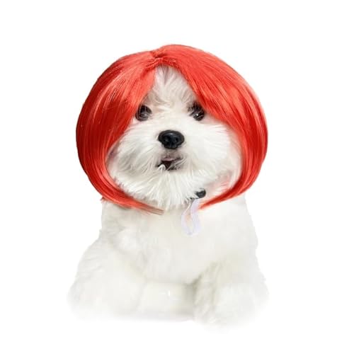 Lustige Hundeperücke für kleine, mittelgroße und große Hunde, Katzen, Cosplay-Perücken für Halloween und Weihnachten Lustige Hundeperücke für kleine, mittelgroße und große Hunde, Katzen, Cosplay-Perücken für Halloween und Weihnachten von Xusdamyj