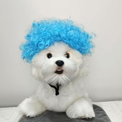 Lustige Hundeperücke für kleine, mittelgroße und große Hunde, Katzen, Cosplay-Perücken für Halloween und Weihnachten Lustige Hundeperücke für kleine, mittelgroße und große Hunde, Katzen, Cosplay-Perücken für Halloween und Weihnachten von Xusdamyj