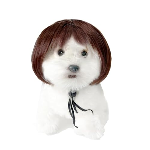 Lustige Hundeperücke für kleine, mittelgroße und große Hunde, Katzen, Cosplay-Perücken für Halloween und Weihnachten Lustige Hundeperücke für kleine, mittelgroße und große Hunde, Katzen, Cosplay-Perücken für Halloween und Weihnachten von Xusdamyj