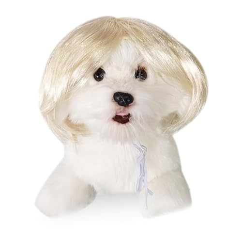Lustige Hundeperücke für kleine, mittelgroße und große Hunde, Katzen, Cosplay-Perücken für Halloween und Weihnachten Lustige Hundeperücke für kleine, mittelgroße und große Hunde, Katzen, Cosplay-Perücken für Halloween und Weihnachten von Xusdamyj