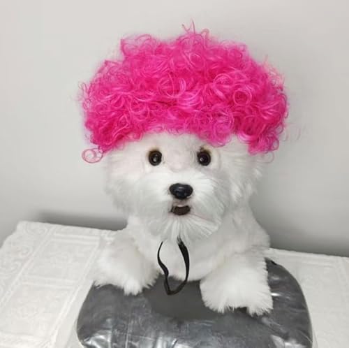 Lustige Hundeperücke für kleine, mittelgroße und große Hunde, Katzen, Cosplay-Perücken für Halloween und Weihnachten von Xusdamyj