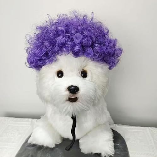 Lustige Hundeperücke für kleine, mittelgroße und große Hunde, Katzen, Cosplay-Perücken für Halloween und Weihnachten von Xusdamyj