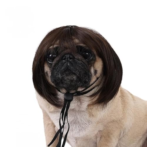 Lustige Hundeperücke für kleine, mittelgroße und große Hunde, Katzen, Cosplay-Perücken für Halloween und Weihnachten Lustige Hundeperücke für kleine, mittelgroße und große Hunde, Katzen, Cosplay-Perücken für Halloween und Weihnachten von Xusdamyj