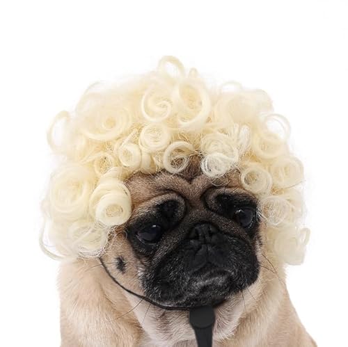 Lustige Hundeperücke für kleine, mittelgroße und große Hunde, Katzen, Cosplay-Perücken für Halloween und Weihnachten von Xusdamyj