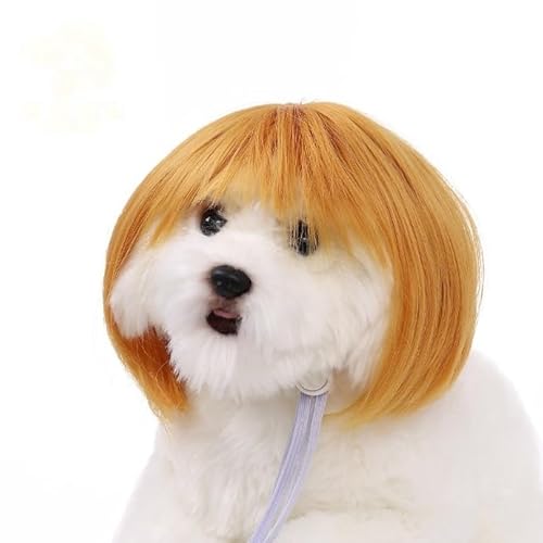Lustige Hundeperücke für kleine, mittelgroße und große Hunde, Katzen, Cosplay-Perücken für Halloween und Weihnachten Lustige Hundeperücke für kleine, mittelgroße und große Hunde, Katzen, Cosplay-Perücken für Halloween und Weihnachten von Xusdamyj