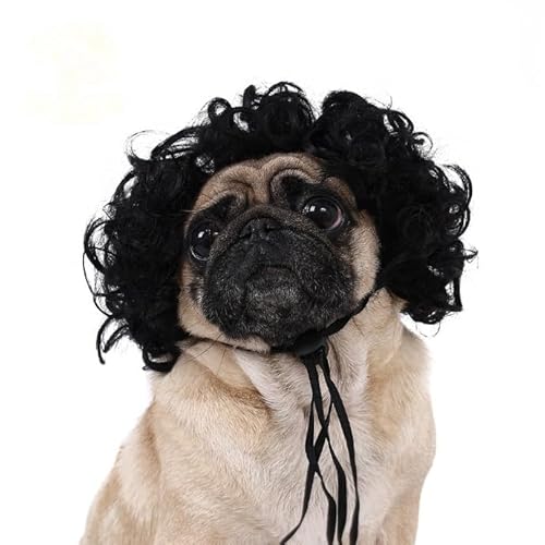 Lustige Hundeperücke für kleine, mittelgroße und große Hunde, Katzen, Cosplay-Perücken für Halloween und Weihnachten Lustige Hundeperücke für kleine, mittelgroße und große Hunde, Katzen, Cosplay-Perücken für Halloween und Weihnachten von Xusdamyj