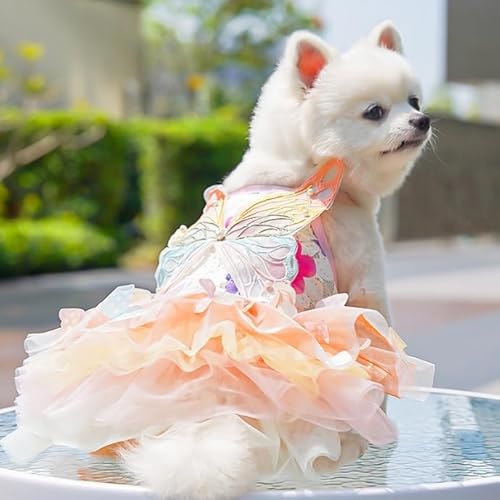 Schmetterling Flügel Hund Kleid Sommer Haustier Hochzeitsrock für kleine mittlere Hunde Katzen von Xusdamyj