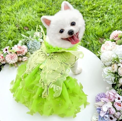 Schmetterling Flügel Hund Kleid Sommer Haustier Hochzeitsrock für kleine mittlere Hunde Katzen von Xusdamyj