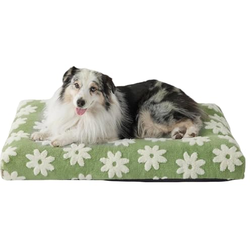 Xusdamyj Hundebett Hundehütte Niedlich Modern Flauschiger Plüsch & Anti-Rutsch-Unterseite von Xusdamyj