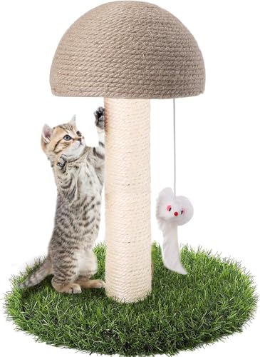 Xuzhengyang Katzenkratzbaum, Pilzkralle Katzenkratzbaum Xuzhengyang Katzenkratzbaum, Pilzkralle Katzenkratzbaum von Xuzhengyang